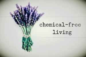 You are currently viewing Why One Should Go Of Product That is Free of Chemicals